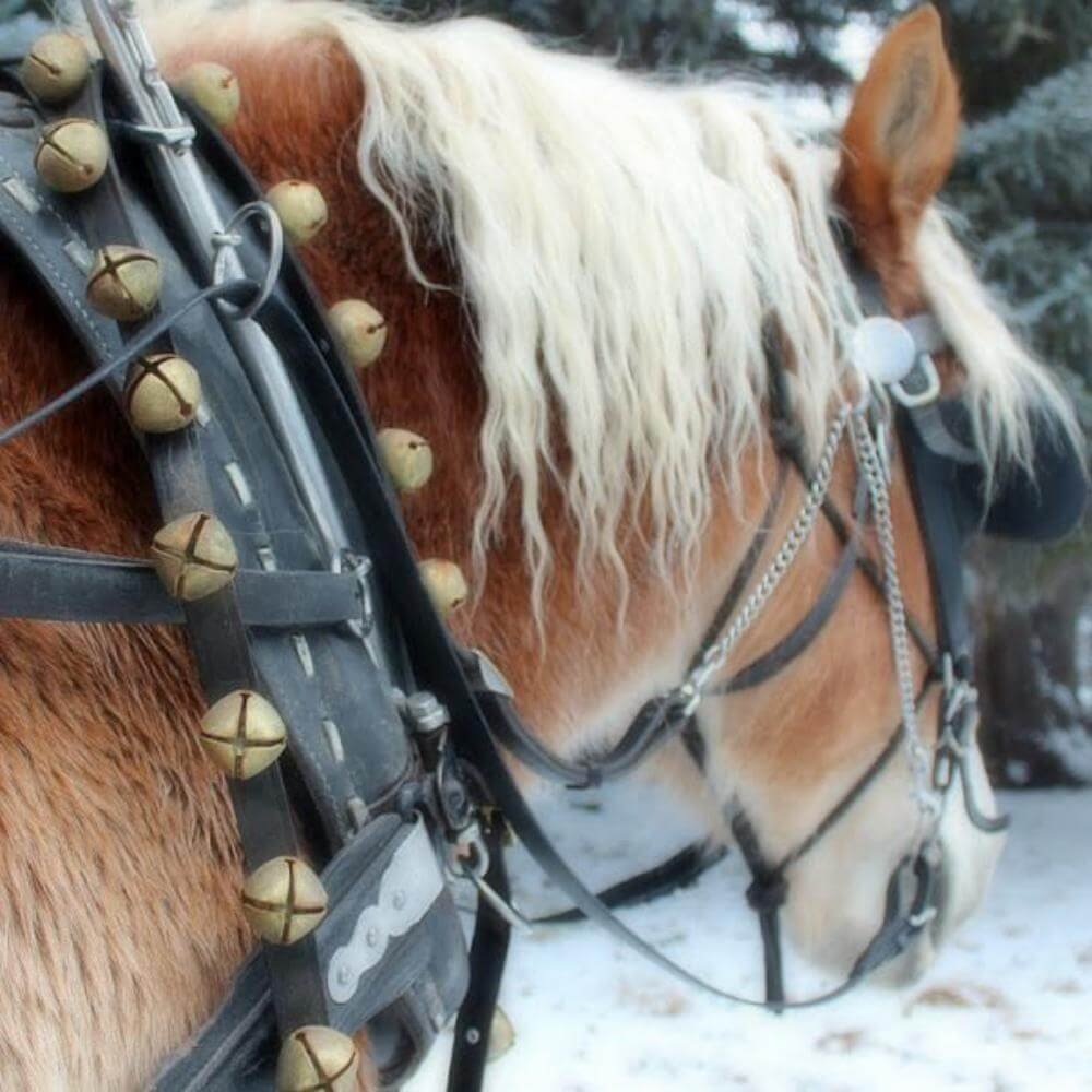Horse Bells